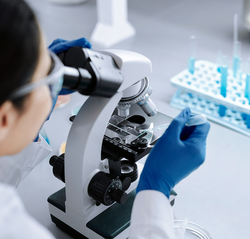 生物科学包括哪些专业-生物科学类专业目录及代码(图1)