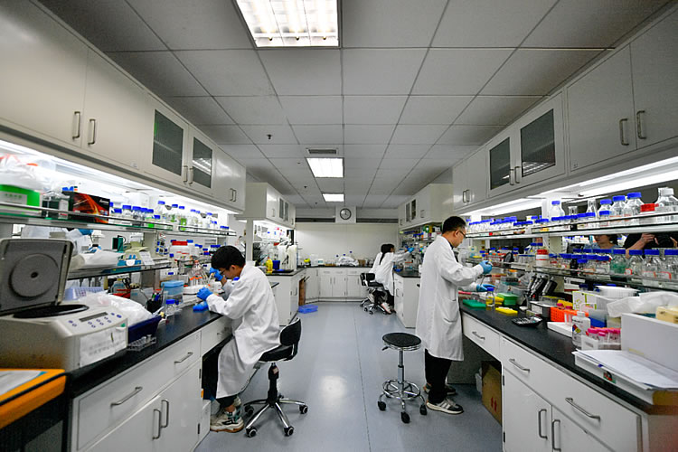 抢占全球绿色生物制造制高点香港迎来历史性突破口(图1)