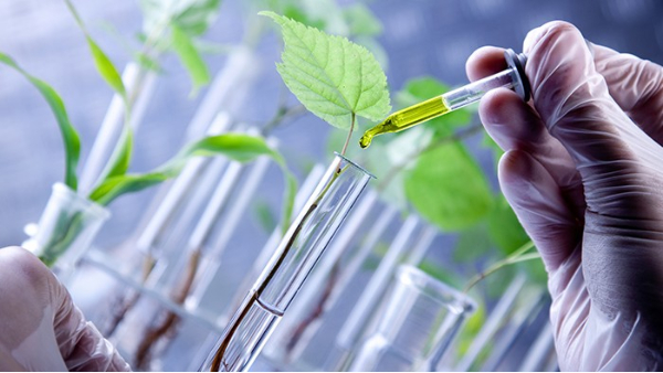生物制造为未来产业发展打造新引擎(图1)